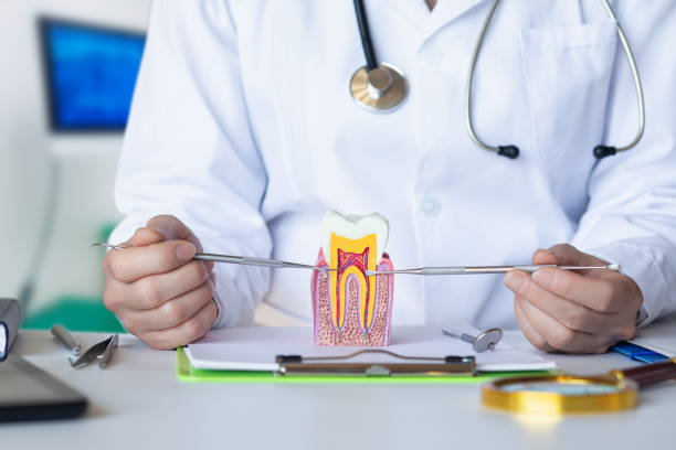 Best Root Canal Emergency Dentist  in Petersburg, IN